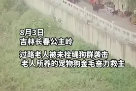 老人被群狗袭击，宠物金毛奋力救主受伤#人间温暖视频封面