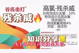 氨基甲酸酯类杀虫剂-残杀威#病虫害防治 #杀虫剂配方 #粮储用药视频封面