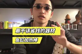 养热带鱼最不应该省钱的器材就是加热棒了，一旦煮鱼，就得不偿失视频封面