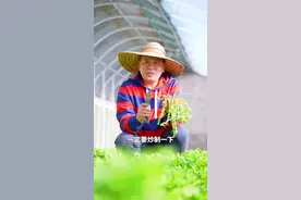 蒲公英是多少人小时候的回忆？#三农 #我的乡村生活 #新农人计划2022视频封面