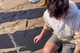 沙滩小小的洞口下居然藏着会喷水的东西，费尽九牛二虎之力居然挖出比脸还长的……#赶海生活 @DOU+小助手视频封面