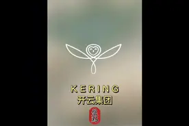 盘点一下奢侈品集团KERINS都有那些品牌。#奢侈品 #gucci #ysl视频封面