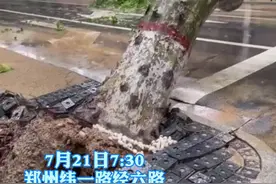 目前郑州纬一路经六道路北侧一棵行道树倒塌，阻断纬一路通行视频封面