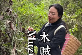 #木贼 #节节草#问荆  #抖音小助手 大自然无奇不有视频封面