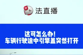 这可怎么办 行驶途中引擎盖突然打开 看看这个司机的教科书做法#行车安全 #惊魂一刻 视频封面