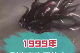 看来瞒不住了，揭秘#1999年 事件的真相！#科普 #雷霆远征预约视频封面