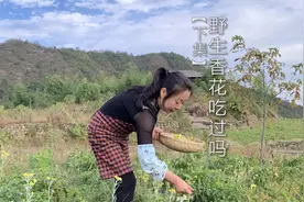 香花馃（下集）这种野花做的农家美食，你有品尝过吗视频封面