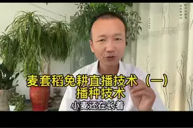 #中海聊农业 #麦套稻免耕直播 （一）播种技术#乡村英才计划 #乡村守护人 #来抖音学农技 #新农人计划2022视频封面