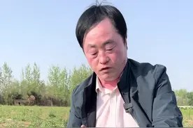 付付苗（打碗花）怎么除#药材种子技术指导 #bibg🐛草害管理技术 #提供种苗 #除草技术指导 @DOU+小助手