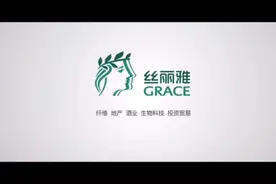营业收入突破300亿的宜宾丝丽雅集团（金喜来酒业总公司）视频封面