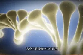 人身上的骨骼一共有几块#知识分享 #科普 #人体结构视频封面