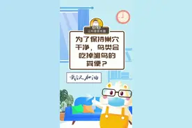 为了保持巢穴干净，鸟类会吃掉雏鸟的粪便？#冷知识 #百科知识