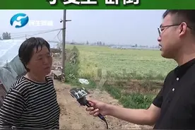5月21日河南新乡：冰雹无情席卷农田，政策兜底减少农民损失，这政策 中！ #冰雹  @30s视频封面