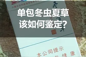 你抽的冬虫夏草是真的还是假的？该如何鉴定你知道吗？#冬虫夏草鉴定 #真假烟鉴定 视频封面