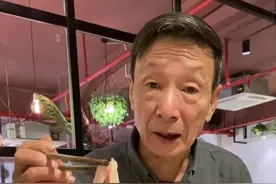 这个冬天你吃羊肉了吗#你敢和王菲一样真实吗