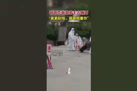 #哥哥牵着弟弟的手去隔离 哥哥：弟弟别怕，哥哥陪着你。视频封面