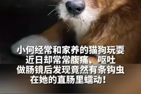 16岁女孩可能因接触猫狗粪便而感染钩虫#宠物清洁 #寄生虫感染 @DOU+小助手 视频封面