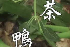 用九层塔做出来的鸭肉香美嫩滑#美食 @抖音短视频