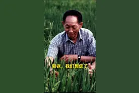 袁隆平8字箴言。斯人已逝，余音绕梁！#袁隆平逝世一周年  视频封面