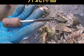 闽南本地历史久远的开蚝神器～#福建生蚝 #生蚝批发视频封面