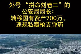 外号 “拼命刘老二”的公安局局长：转移国有资产700万，违规私藏枪支弹药