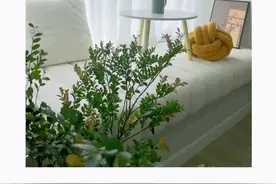 终于找到一款好看的飘窗垫，一年四季都可以用，防水，耐污，防渗透#飘窗垫 #飘窗 #卧室 #居家好物 @抖音短视频视频封面