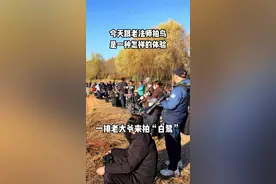 当我看到大哥的800定…#摄影 #老法师 #白鹭 #打鸟视频封面