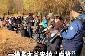当我看到大哥的800定…#摄影 #老法师 #白鹭 #打鸟视频封面