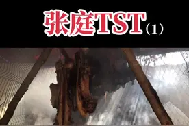 张庭夫妇到底在什么钱？他们是不是传销组织？这背后还有多少不为人知的大秘密？#张庭 #林瑞阳 #明星