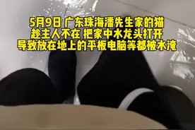 小猫咪能有什么坏心思呢？只不过是趁主人不在家打开水龙头，把屋里都淹了而已……#猫 #铲屎官不在家 #猫咪 @Kk不在线_（搬砖版 