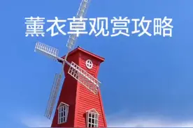 薰衣草观赏攻略来了视频封面