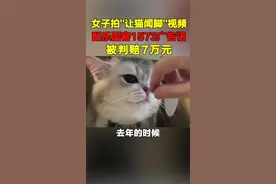 长沙一女子拍“让猫闻脚”的视频，配乐国窖1573广告语，被判赔7万元！ 视频封面