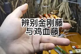 如何辨别金刚藤手镯与鸡血藤手镯，真假鸡血藤金刚藤手镯—吾来藤视频封面