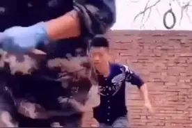超萌预警！小警犬奶凶来袭。视频封面
