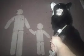 像一块石头，顺着坡滚下来似的，我到达了今天的日子