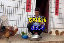 彝族农村生活—搓火草#三农 #农村生活 #农村人的一天 #火草衣