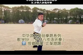 少林八步连环拳系列动作教学之按截推掌和上架蹬踢