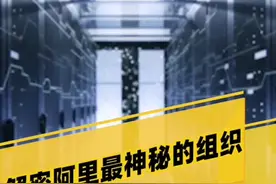 我的阿里云同事给我揭秘了阿里最神秘的组织——阿里巴巴数据中台。看完你懂了吗？😂视频封面