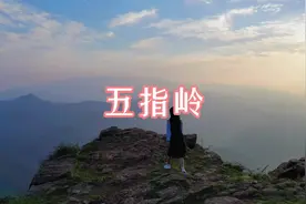 #郑州 离郑州60公里的五指岭，伏羲山最高峰，观云海、看晚霞视频封面