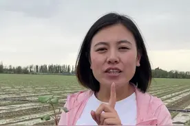2022年棉花种植出现大量高脚苗该如何解决#来抖音学农技 #农业种植 #三农 #三农种植 #高脚棉 #新疆 #抖音新农人 #棉花高产 #农业 #高产农业 #虫害 #虫害管理 #棉花管理视频封面