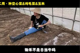 #催耕俪记 #孙俪 小种香瓜初尝败果，“俪”精神永不放弃，再接再视频封面