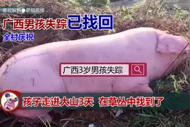 广西男孩失踪进入大山三天，安然无恙已被找回，全村庆祝中视频封面