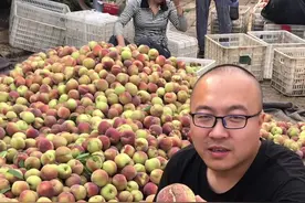 有喜欢吃裂口的桃子的吗？#桃子 #青州蜜桃视频封面