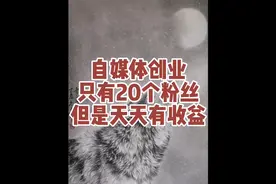 我的抖音只有20个粉丝，但是每天都有收益！#创作灵感视频封面