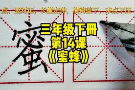 #创作灵感 三年级下册第14课《蜜蜂》同步语文生字书写示范视频封面