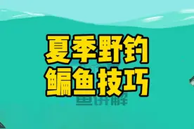 夏季野钓鳊鱼技巧#钓鱼 #钓鱼人 #钓鱼技巧 视频封面