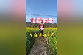 #诸暨 #东白湖 诸暨东白湖的油菜花开了！周末好去处视频封面