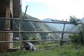 大暑
一候腐草为萤
二候土润溽暑
三候大雨时行
我独候一碗清凉视频封面