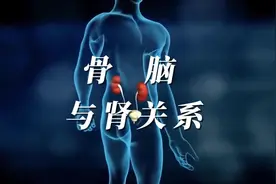 肾管骨髓脑记忆，肾是怎样一步步生骨再成脑的？视频封面