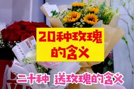 送玫瑰要注意了，有20种颜色的含义，你知道几种？#抖音小助手视频封面